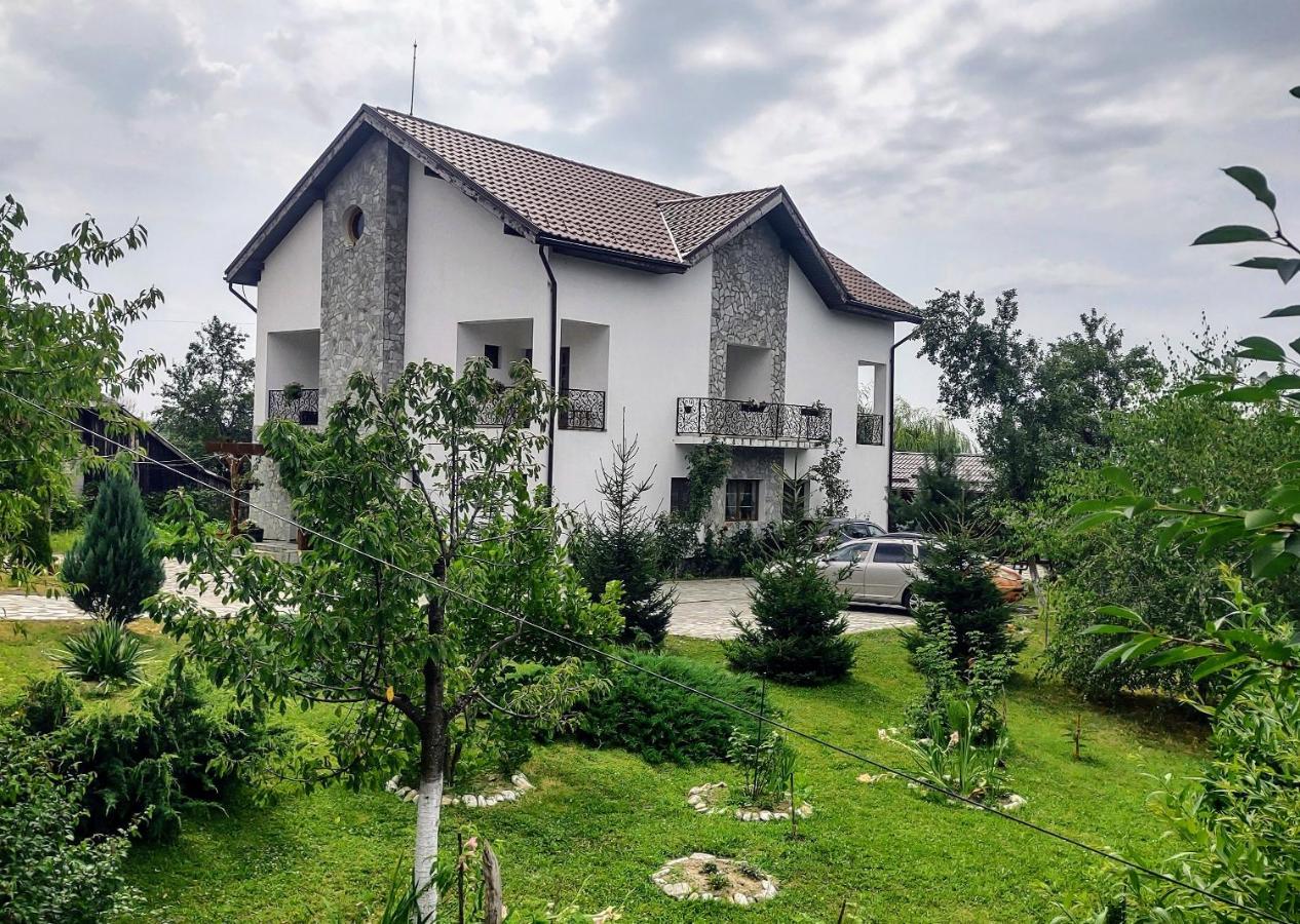 B&B Cărpiniș - Pensiunea Codruta - Bed and Breakfast Cărpiniș