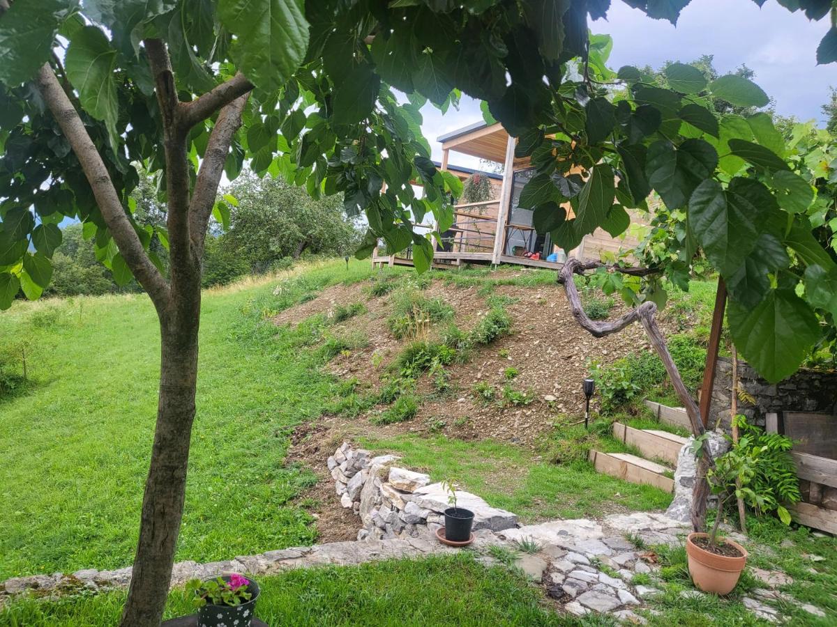 oddih pr Toniqu - B&B