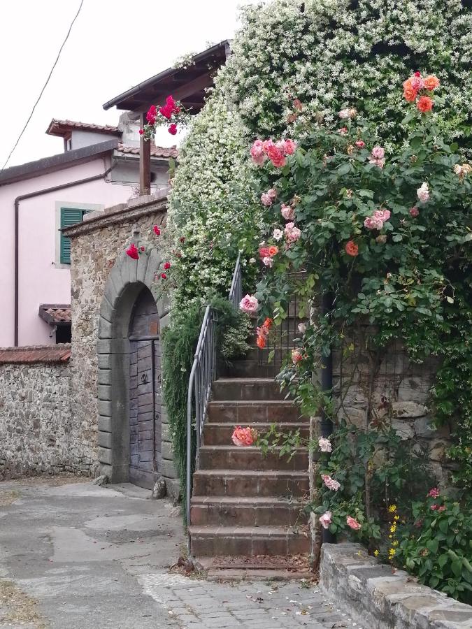 B&B Fivizzano - Casa gelsomino - Bed and Breakfast Fivizzano