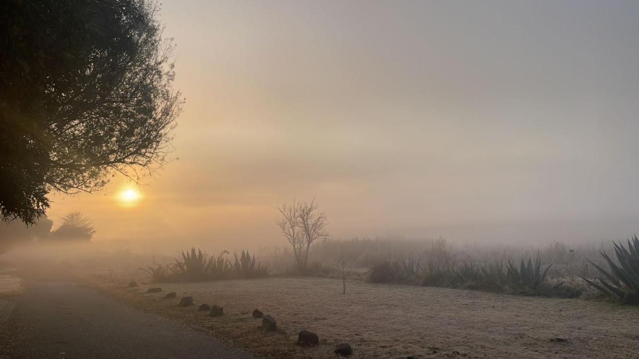 Sable Sunset Guesthouse - B&B Trichardt