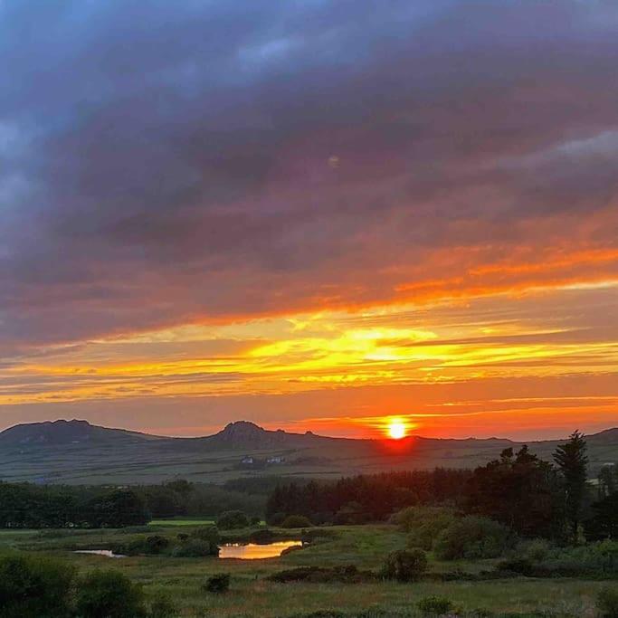 Charming coastal cottage - pet friendly! - Ferienwohnung Goodwick