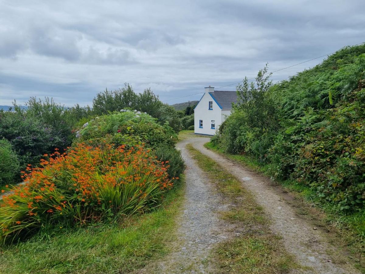 B&B Caherdaniel - Sea Breeze cottage at The Olde Forge B&B - Bed and Breakfast Caherdaniel
