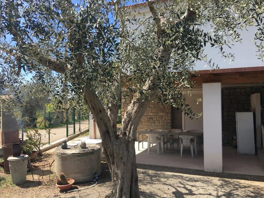 green holiday - B&B