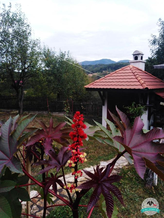 Vila "Breza" - Majdan - Ferienwohnung Majdan