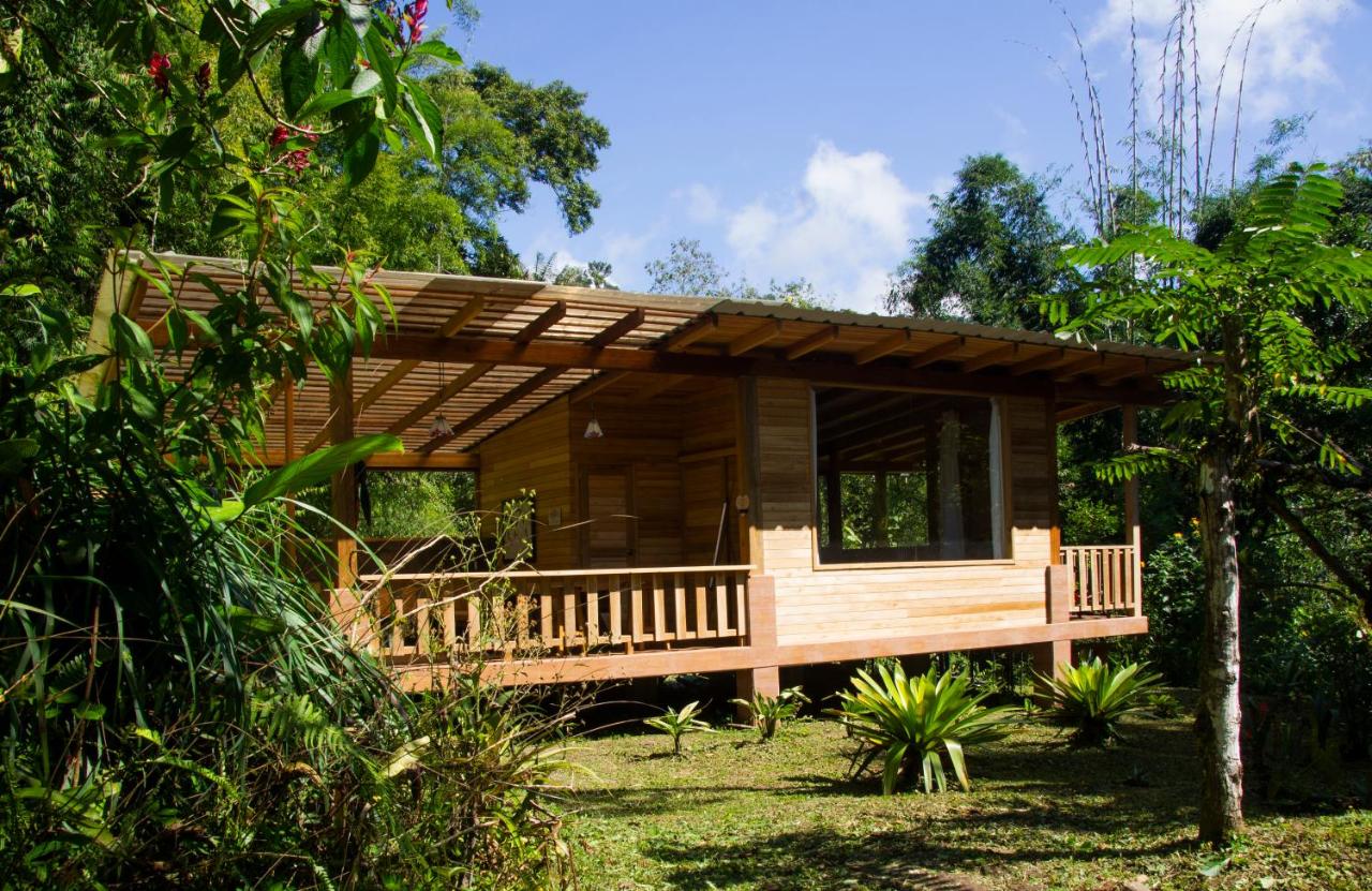 La Providencia Lodge - B&B