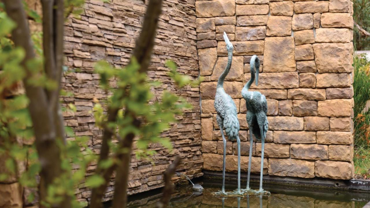 Waterfalls Daylesford - Chambres d’hôtes