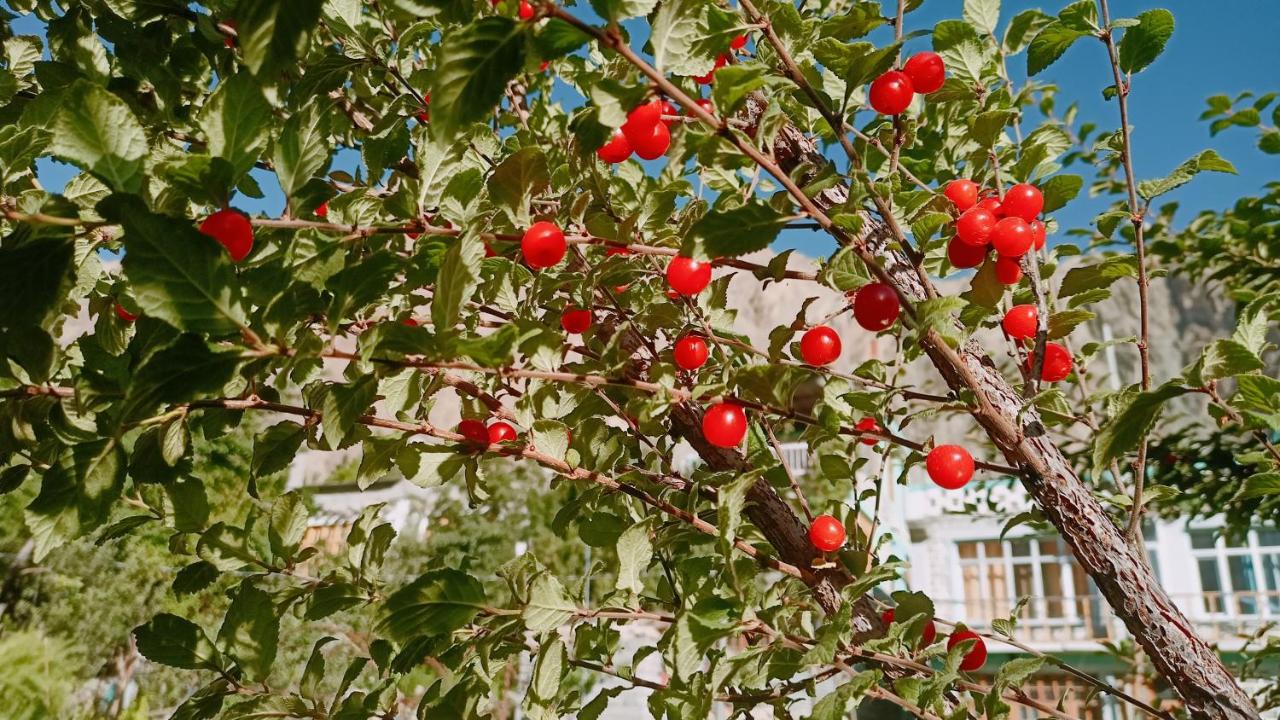 Summer and winter homestay Turtuk Youl - B&B Turtok