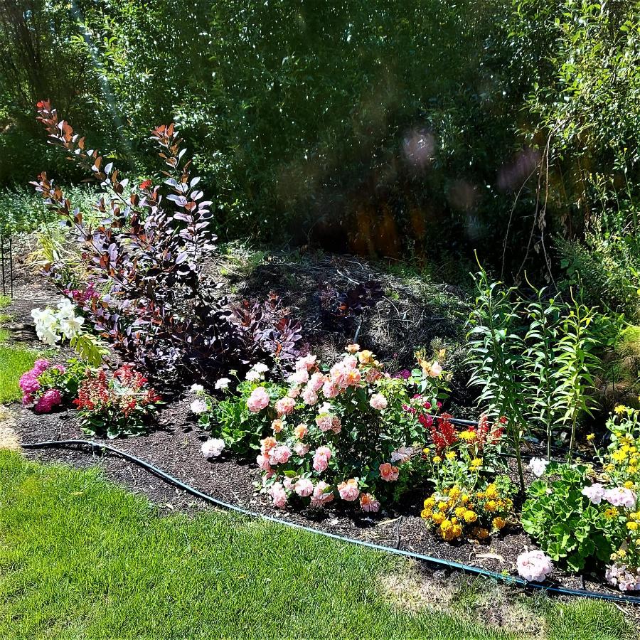 Steller Jay Hollow - B&B Summerland