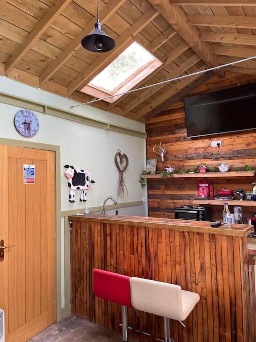 B&B Dromara - Maple tree lodge. Quirky handcrafted Irish cabin - Bed and Breakfast Dromara