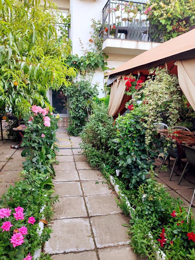 Vila Nikol - B&B Năvodari