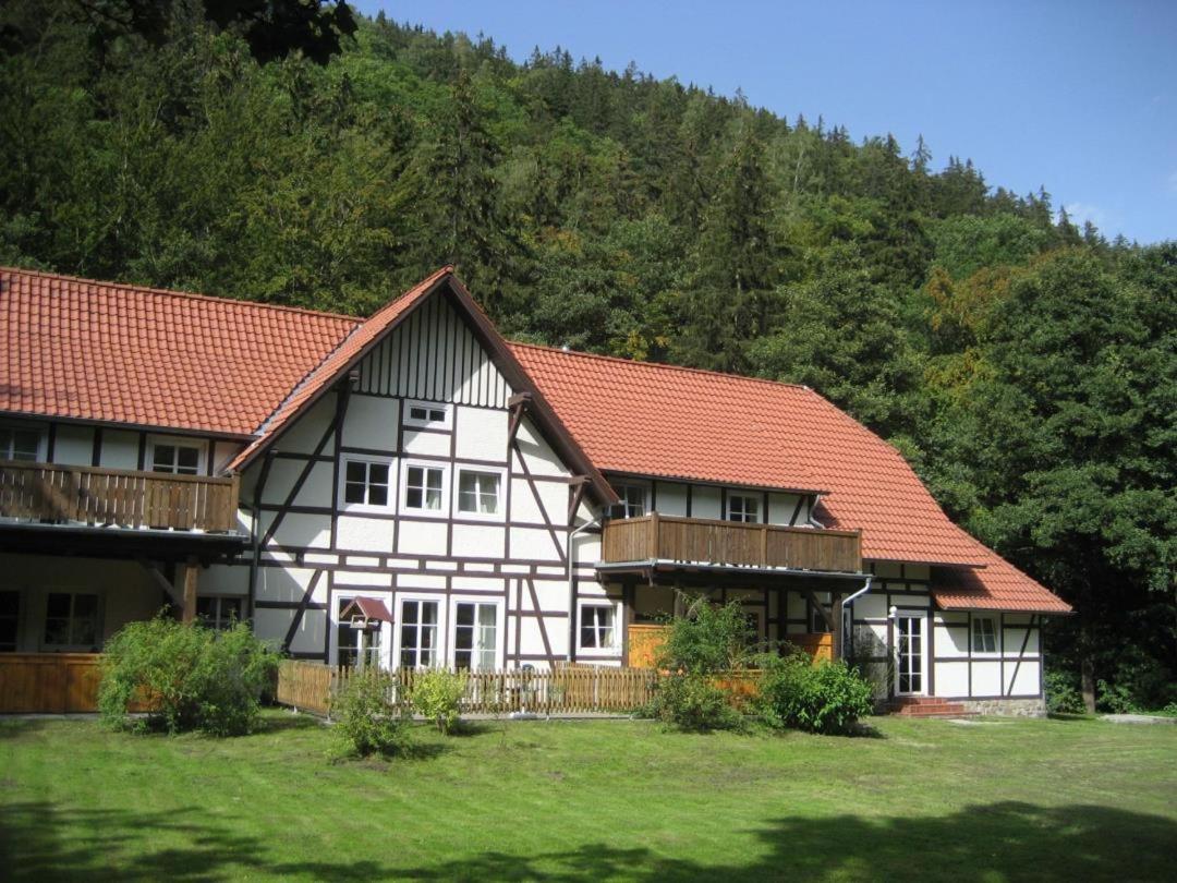 B&B Ilsenburg - Ferienwohnung Nexö, 30 qm, 1 Schlafzimmer N4 - Bed and Breakfast Ilsenburg