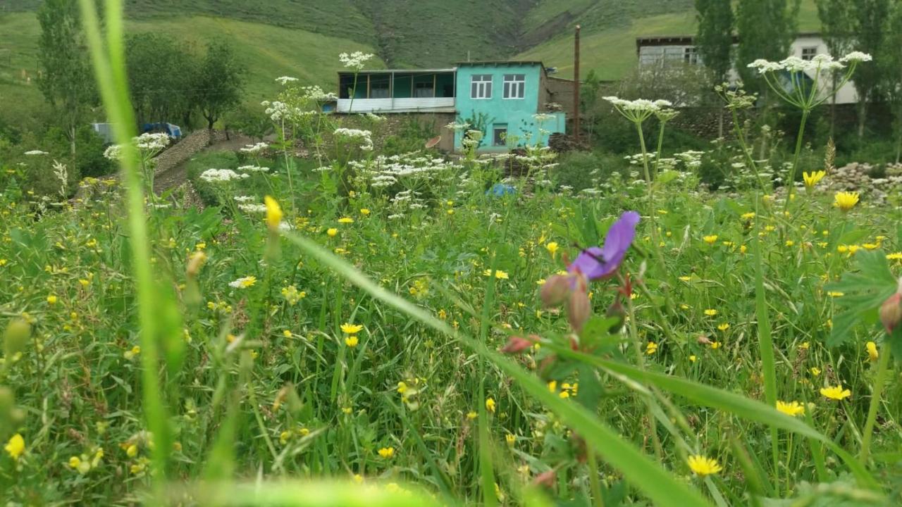 Mountain house - Bed and Breakfast