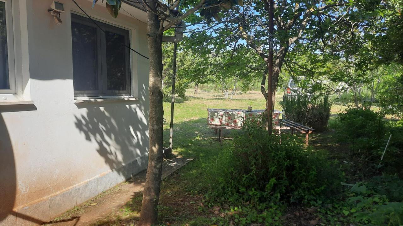 Kuća za odmor Mizi - B&B