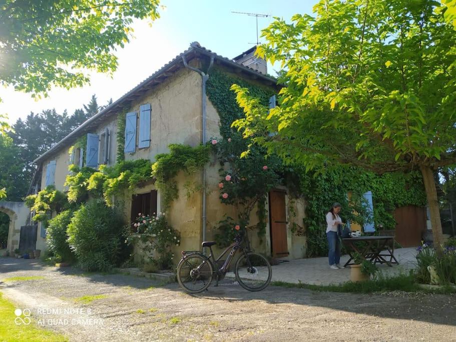 Ferme typique de Gascogne - Ferienwohnung Lourties-Monbrun
