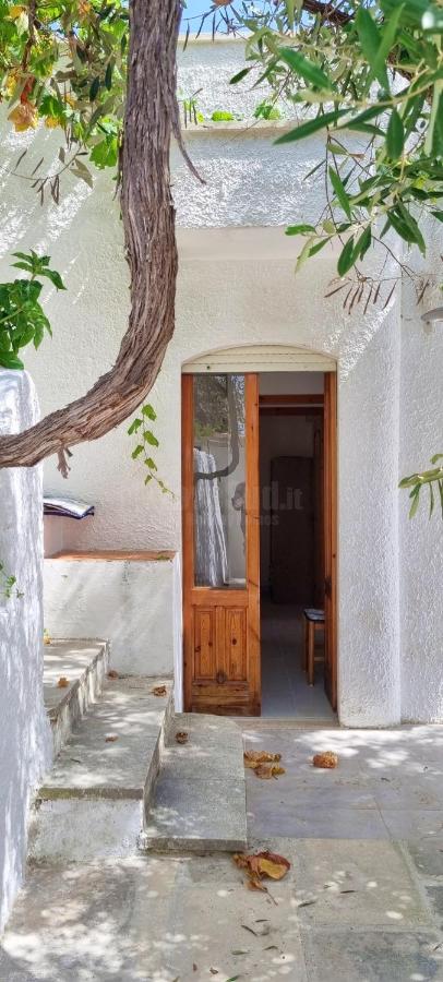 Casa sul mare Novaglie by LoveSud - B&B