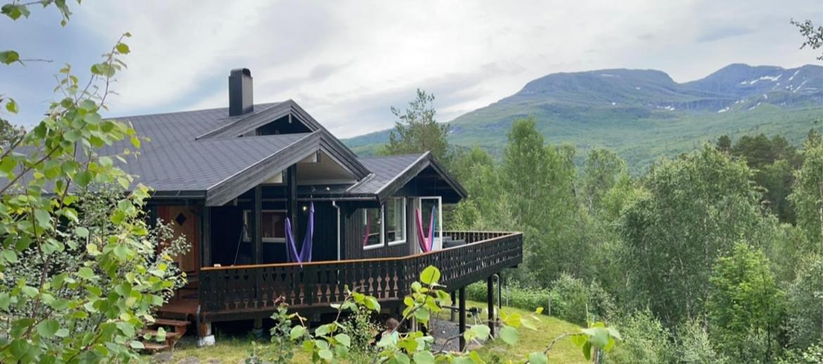 Large and cosy mountain cabin - B&B Sykkylven
