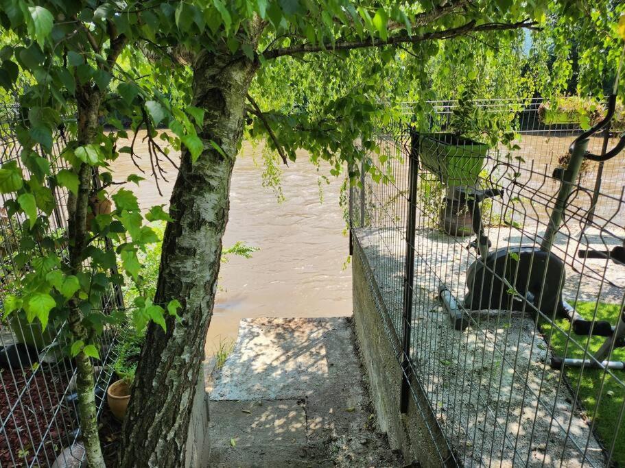 Kuća na obali reke Nišave - B&B