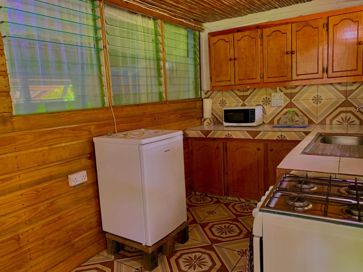 Studio with Garden View