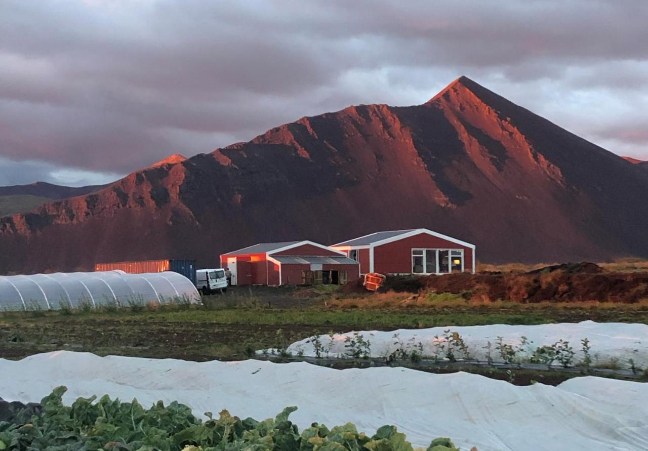 B&B Akranes - Rustic Farmhouse - Narfasel - Bed and Breakfast Akranes