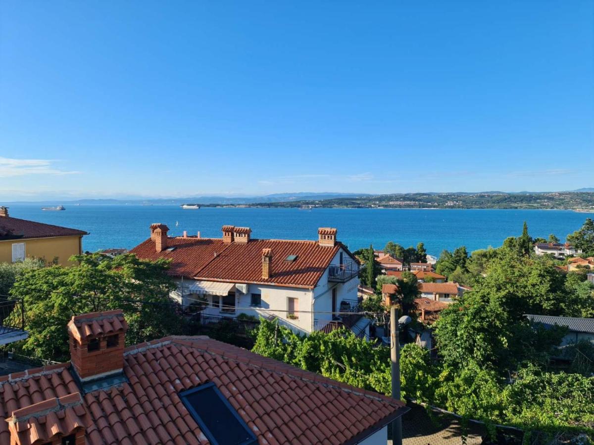 B&B Capodistria - Amore Koper - Bed and Breakfast Capodistria