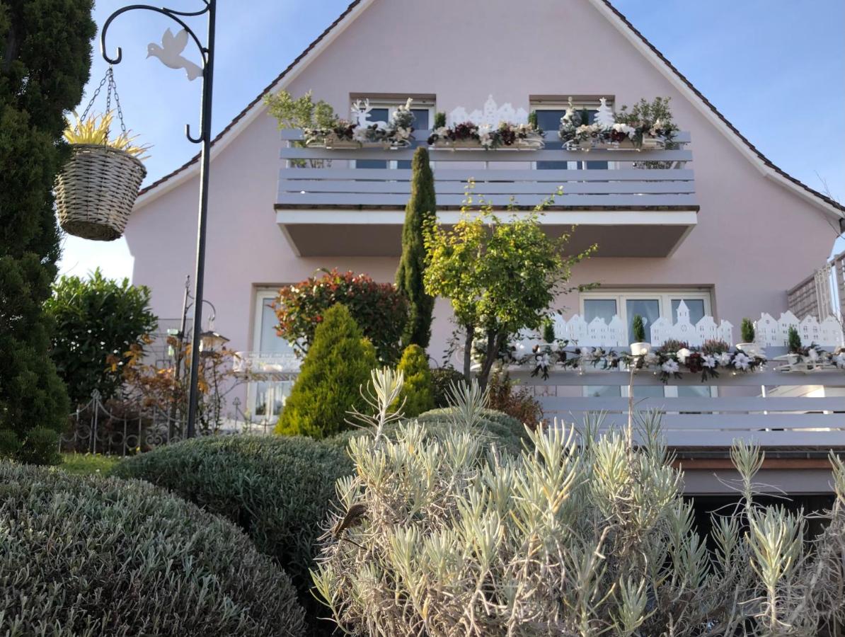 Gite Riquewihr "C'est Beau la Vie Alsace" - Ferienwohnung
