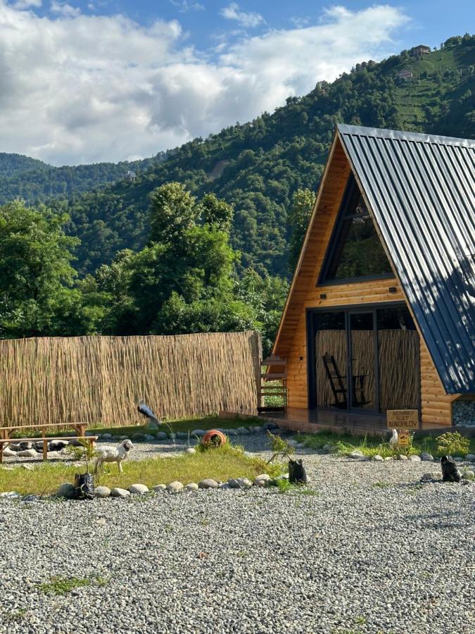 NOMsky suit bungalov - B&B Ardeşen
