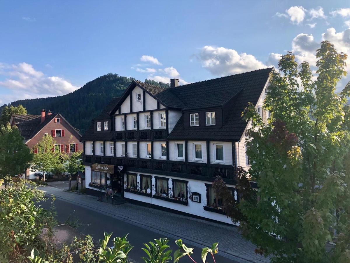 B&B Apart Hotel Goldener Hahn - Guesthouse Hirsch Baiersbronn - B&B