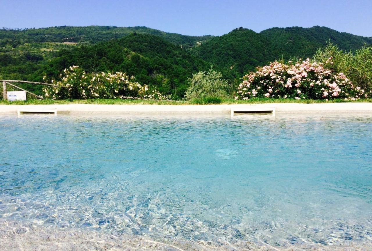 AGRITURISMO PODERE LE PIALLE - Bed and Breakfast Pontassieve