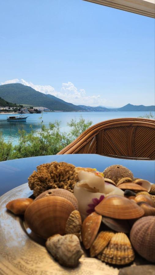 Apartman PITOSPORA - B&B Klek