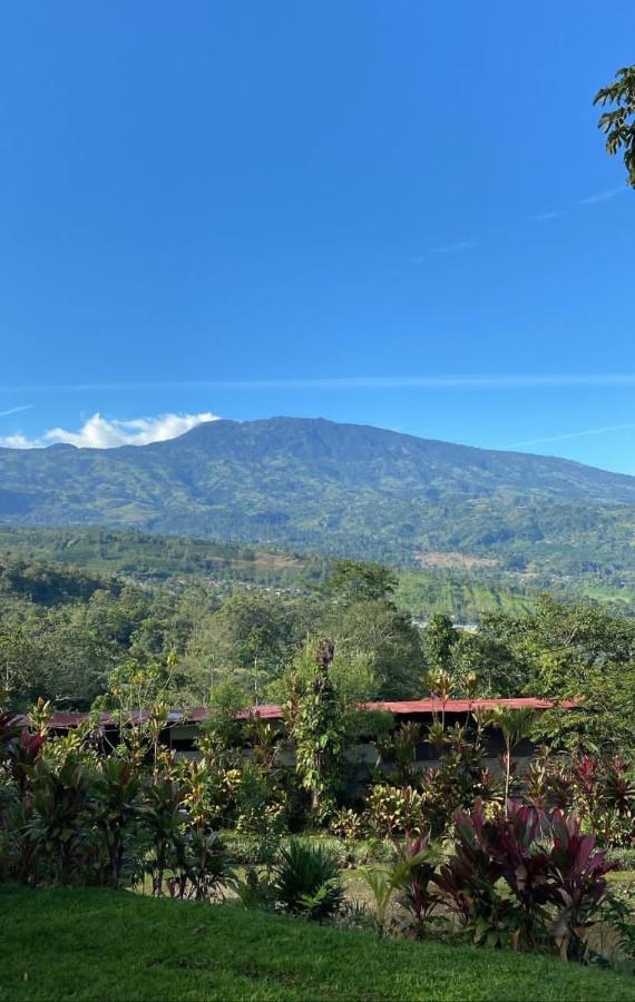 B&B Turrialba - Hotel Green Mountain - Bed and Breakfast Turrialba