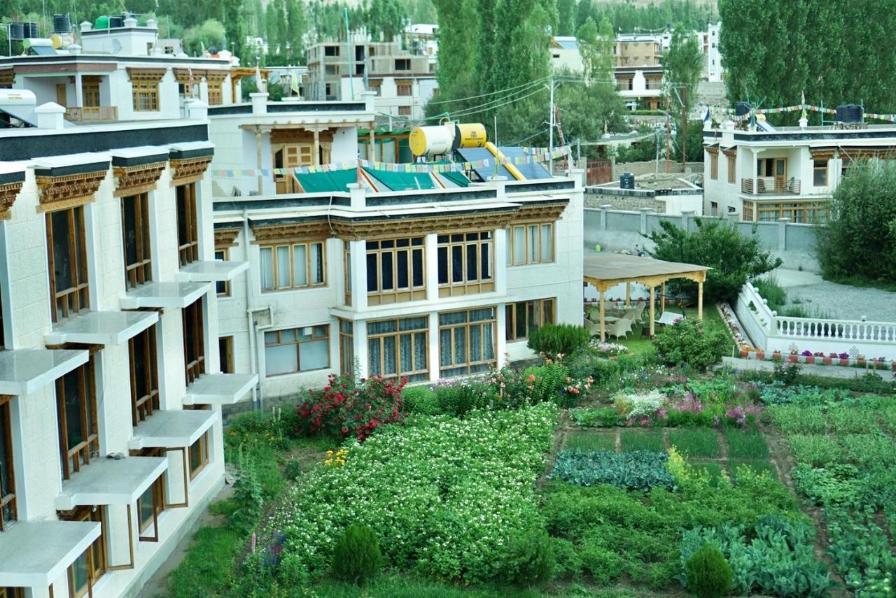 Raku Guest house - B&B