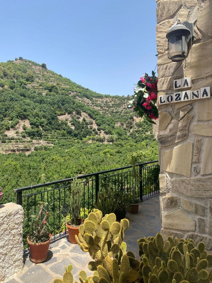 La Lozana - Río Verde - Ferienwohnung Jete