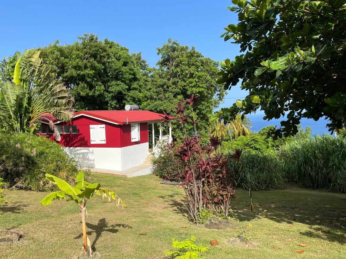 Grand bungalow avec piscine et vue mer - B&B