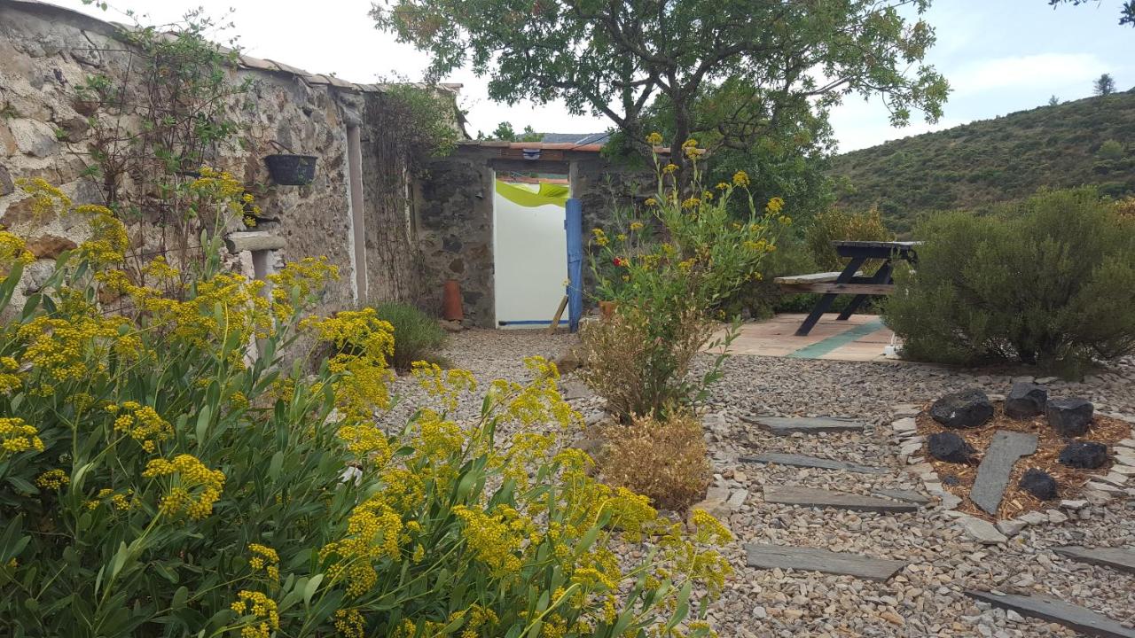 Gîte dans ancienne bergerie en pleine garrigue - B&B