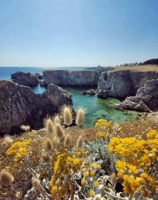 Appartement Chez A.S.Y. - B&B Guérande