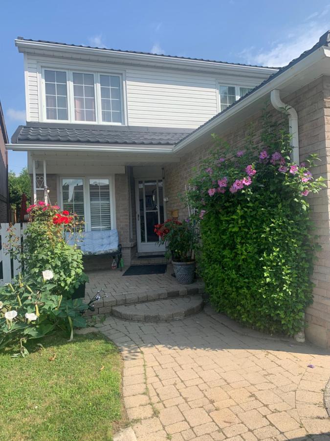 BIG Oasis Studio near Airport YYZ - B&B Toronto