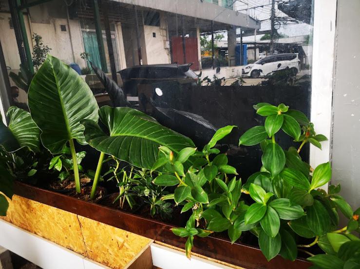 COZY HOUSE Working Space Stay with local in Bangkok Airport - B&B Bang Na