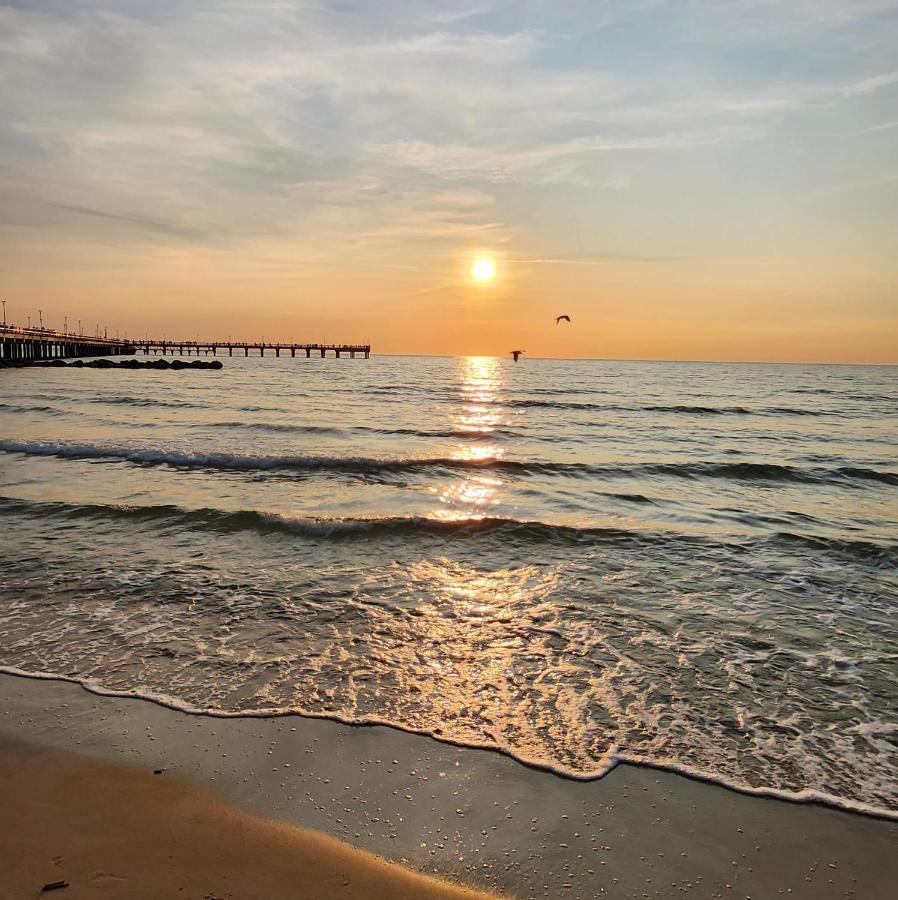 Vila Vilma - Kunigiškės - Chambres d’hôtes Palanga