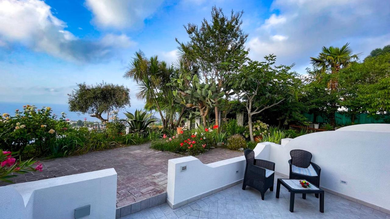 barracudasuite - B&B Ischia