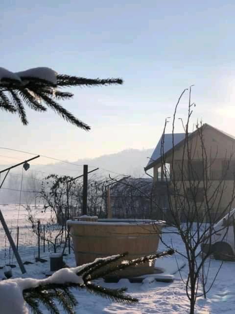 Pensiunea Brezu - B&B