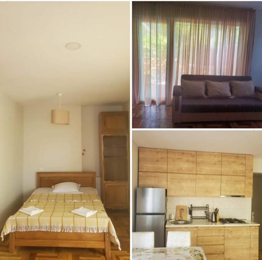 Appartement 1 Chambre
