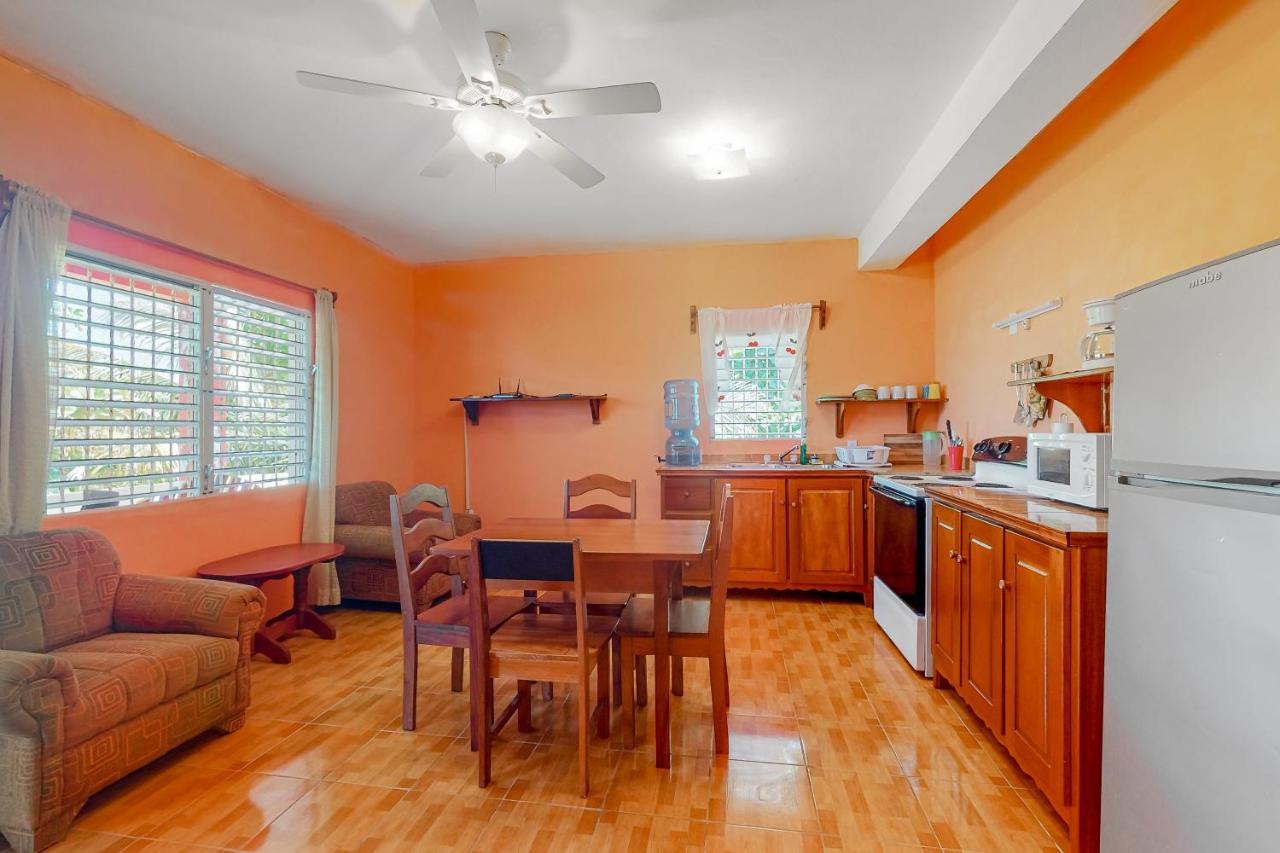 De Real Macaw - Chambres d’hôtes Caye Caulker