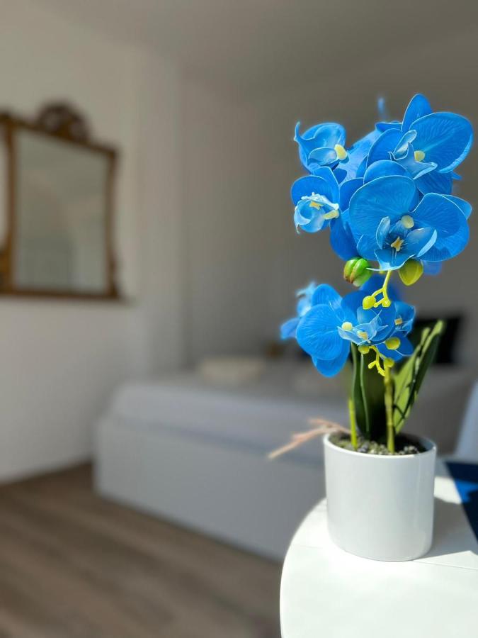 Fior di Loto Suite - Lingotto - B&B Turin
