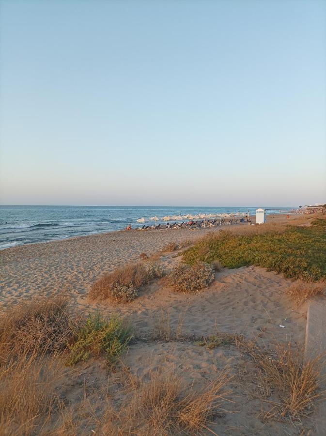 Seaview Apartment - Ferienwohnung