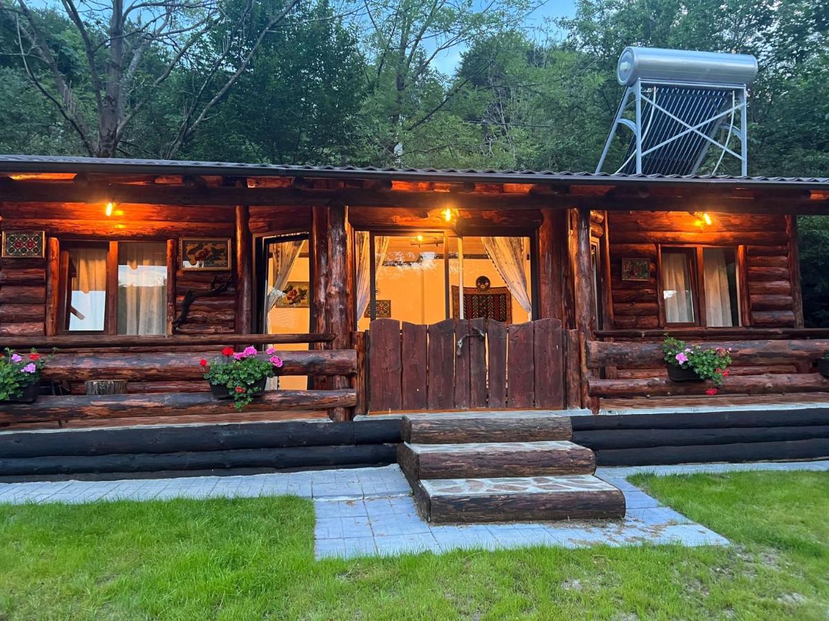 B&B Dărmăneşti - Cabana MARISA - Bed and Breakfast Dărmăneşti