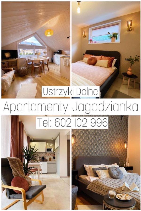 B&B Ustrzyki Dolne - Apartamenty Jagodzianka - Jacuzzi i Sauna - Bed and Breakfast Ustrzyki Dolne