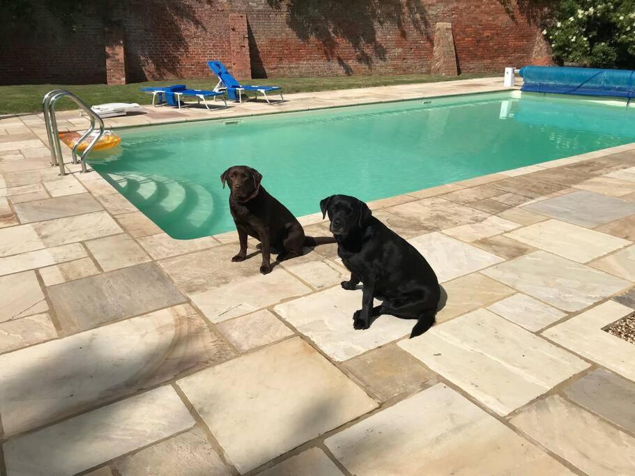 Wendover House XL Luxury Country Home near Silverstone, with Beautiful Gardens, Pool & Sauna - Chambres d'hôtes Gayton