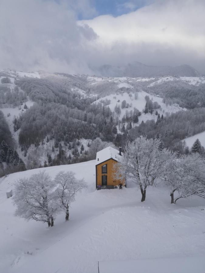 Chalet mit 2 Schlafzimmern