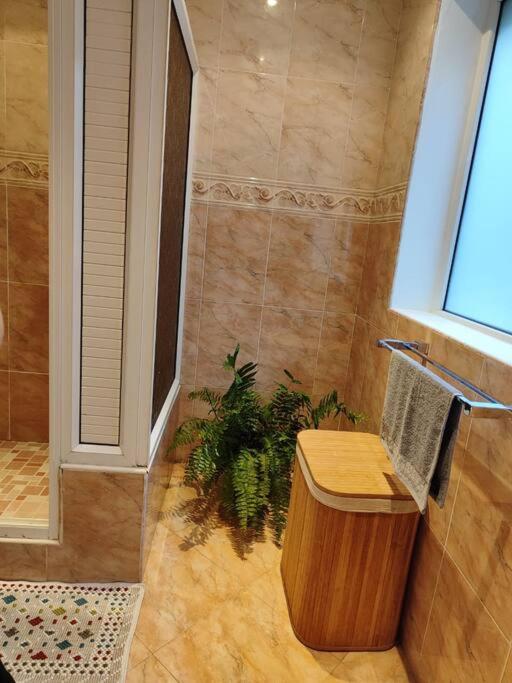 Appartamento con 2 Camere da Letto