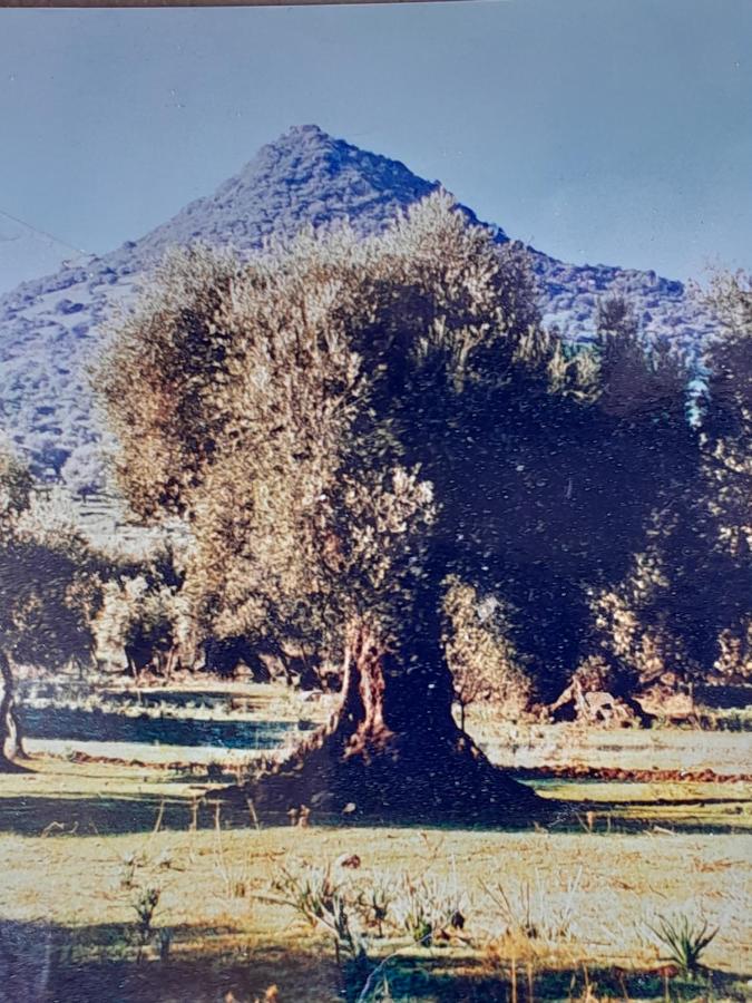 Sardinia Experience - Chambres d’hôtes